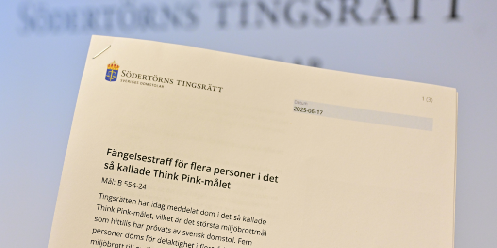 think pink dom