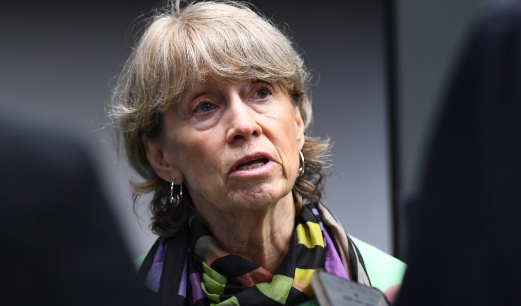Den särskilda utredaren Anna Singer