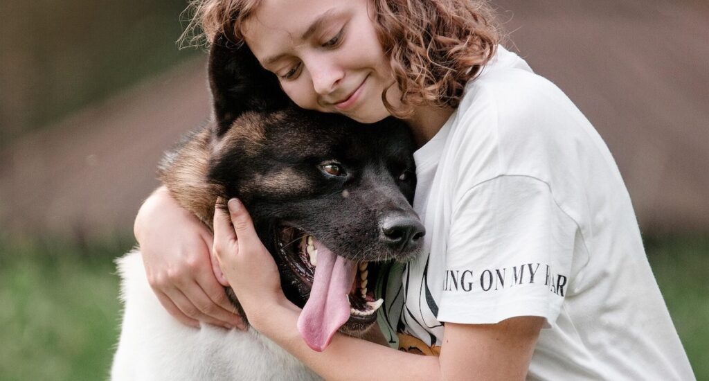 En hund får en kram