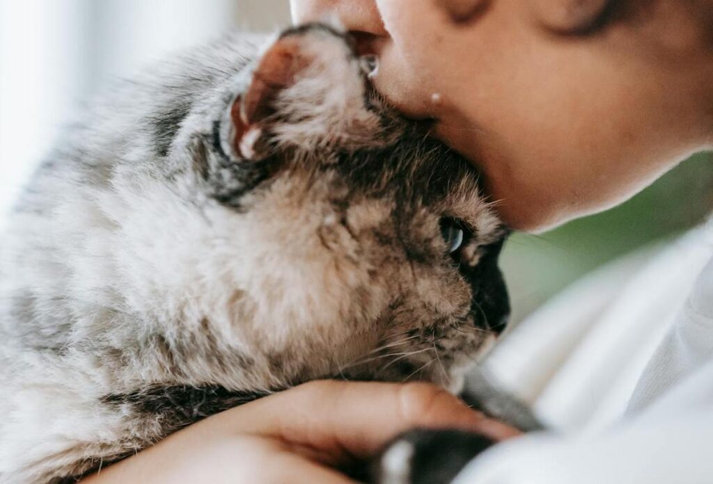 En kattägare pussar sin katt
