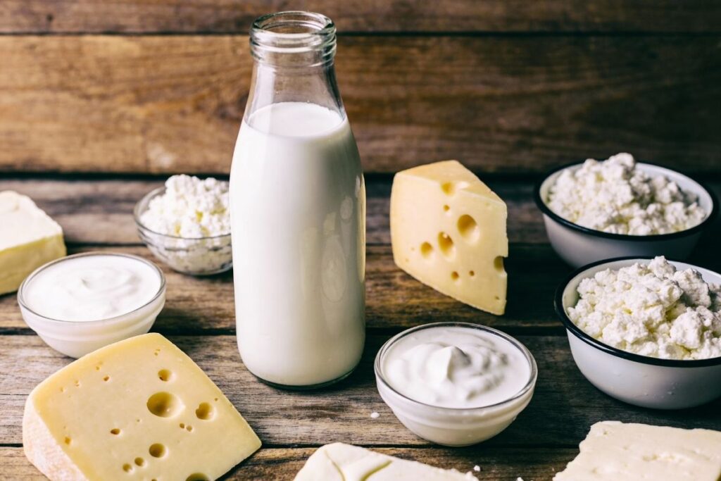 Mejeriprodukter