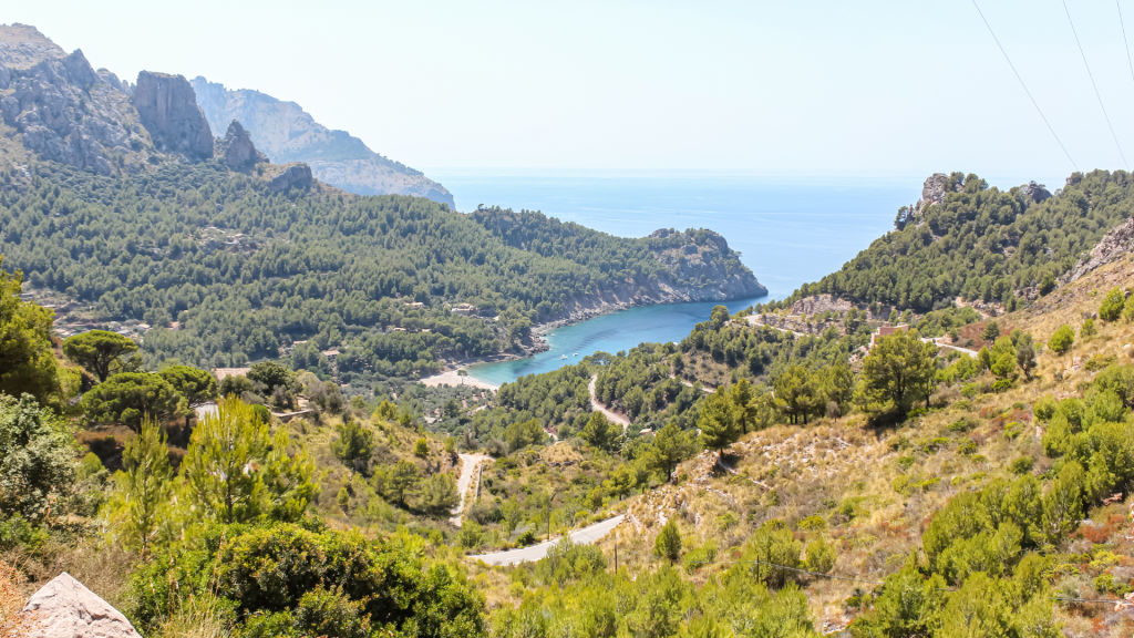 palma
